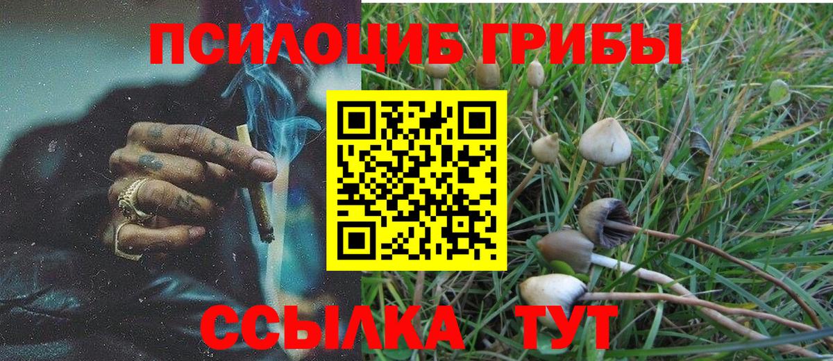 Псилоцибиновые грибы мухоморы Новошахтинск