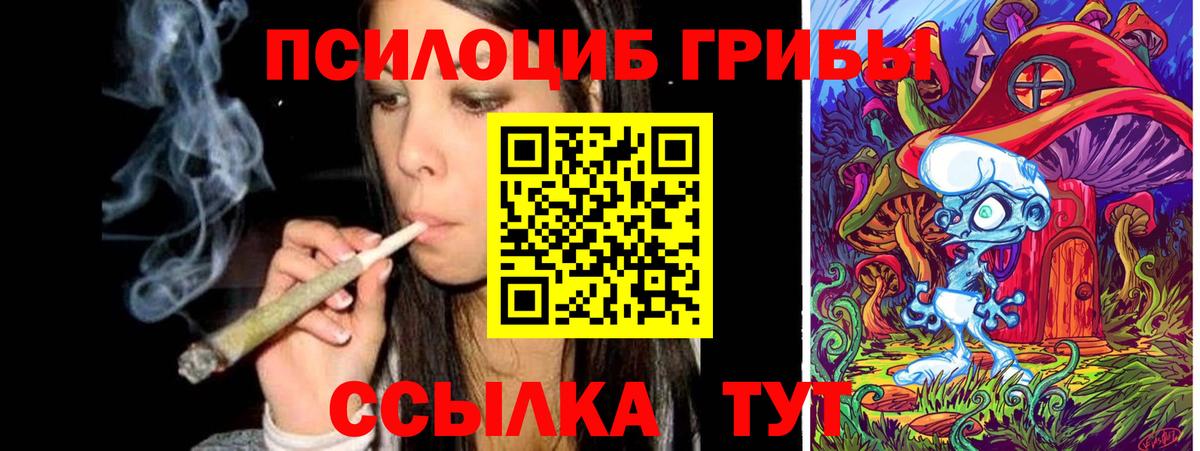 Новошахтинск  Псилоцибиновые грибы Magic Shrooms  Псилоцибиновые грибы прущие грибы  Вход с VPN 